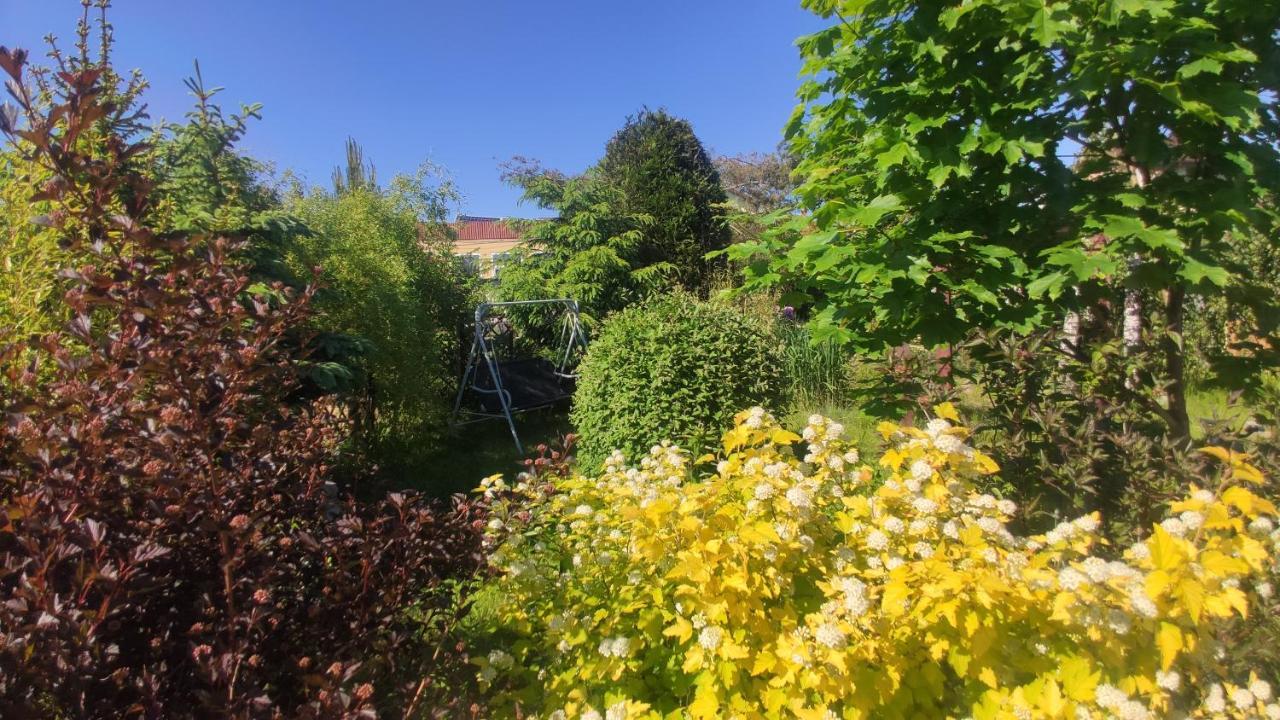 Władysławowo Ow Sargus Bed & Breakfast エクステリア 写真