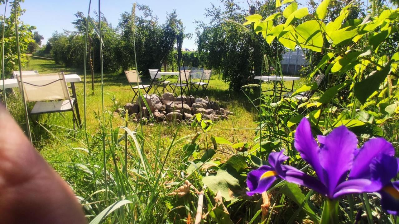 Władysławowo Ow Sargus Bed & Breakfast エクステリア 写真