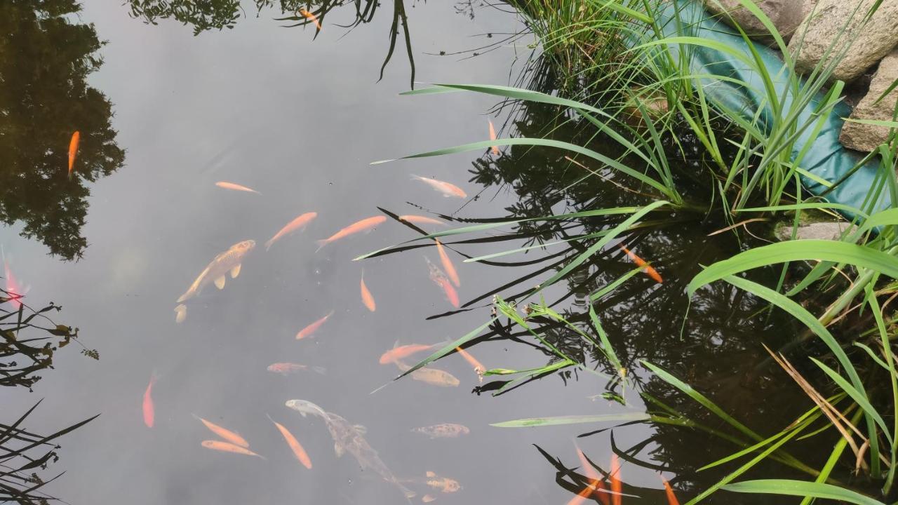 Władysławowo Ow Sargus Bed & Breakfast エクステリア 写真