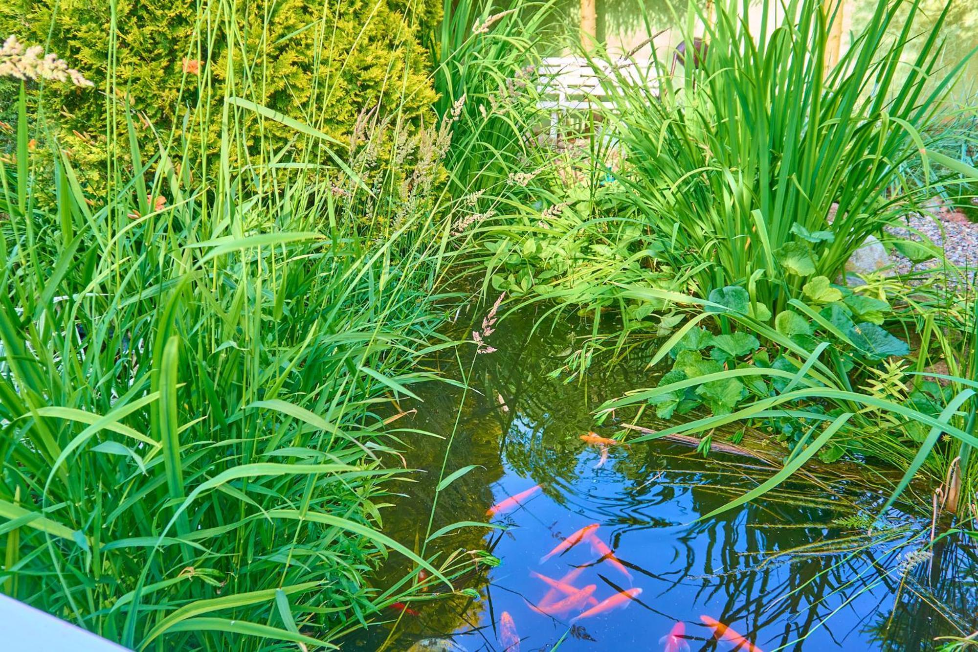 Władysławowo Ow Sargus Bed & Breakfast エクステリア 写真