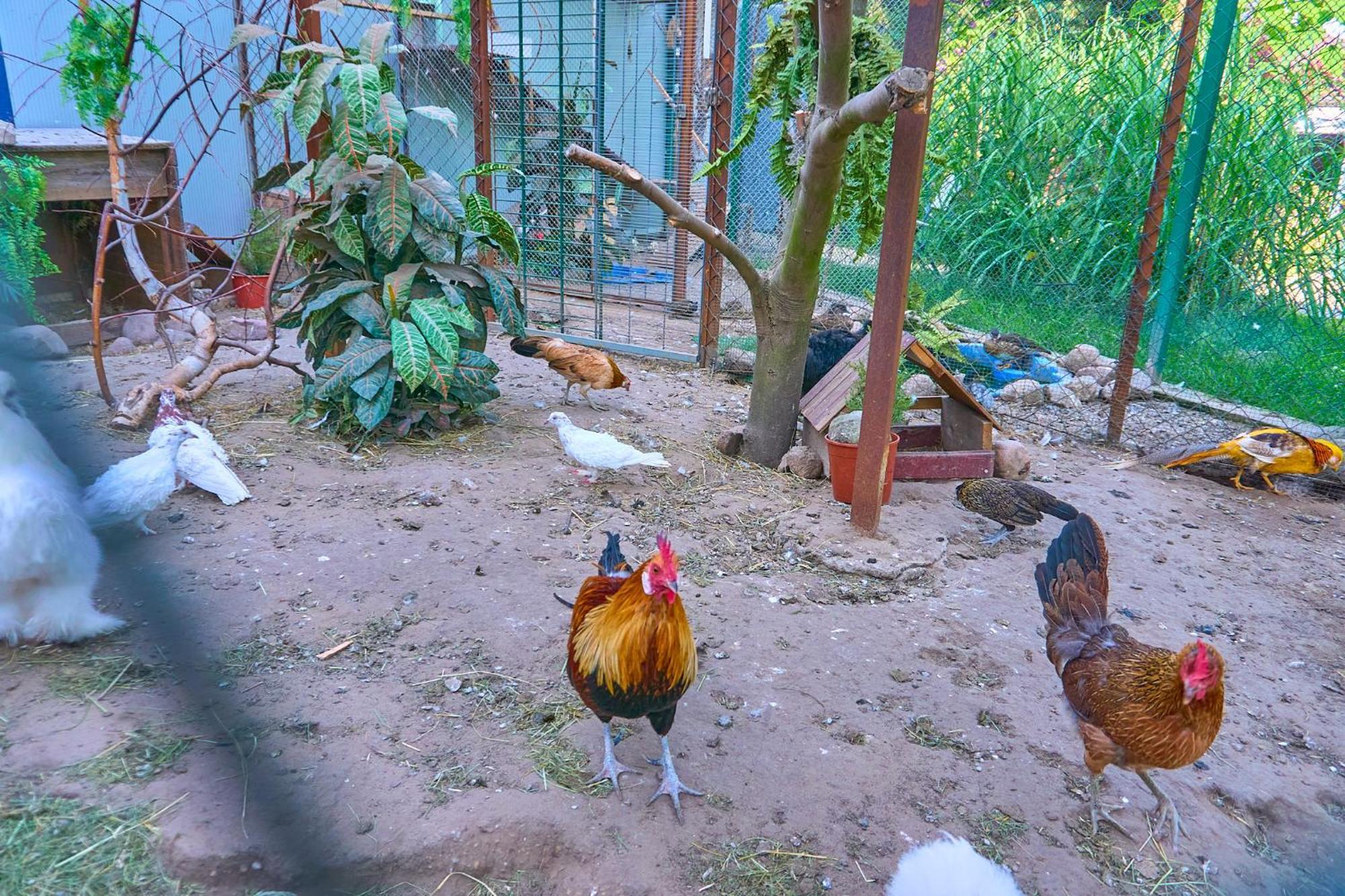 Władysławowo Ow Sargus Bed & Breakfast エクステリア 写真