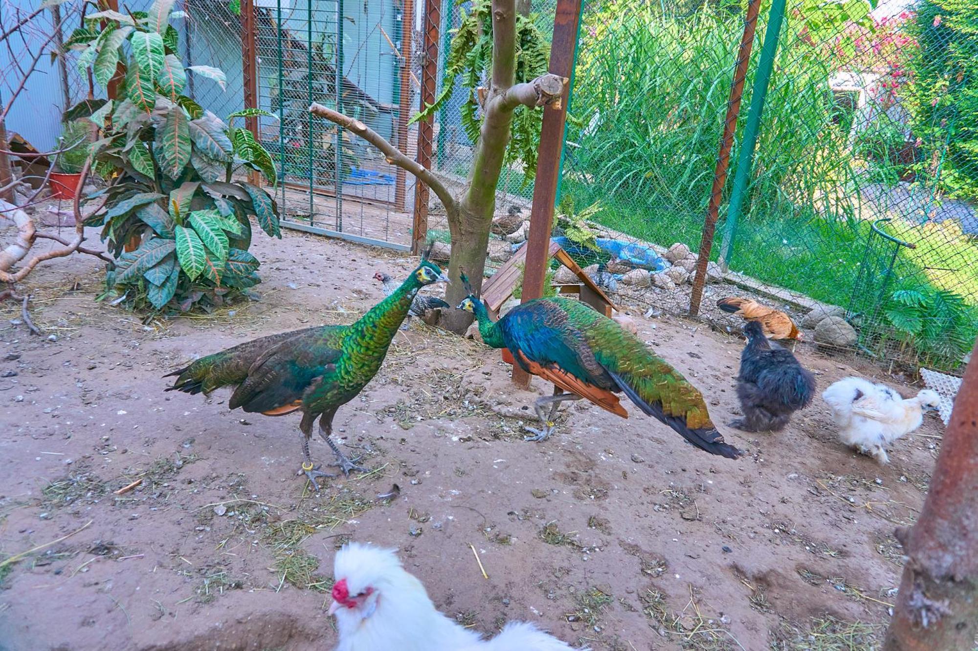 Władysławowo Ow Sargus Bed & Breakfast エクステリア 写真