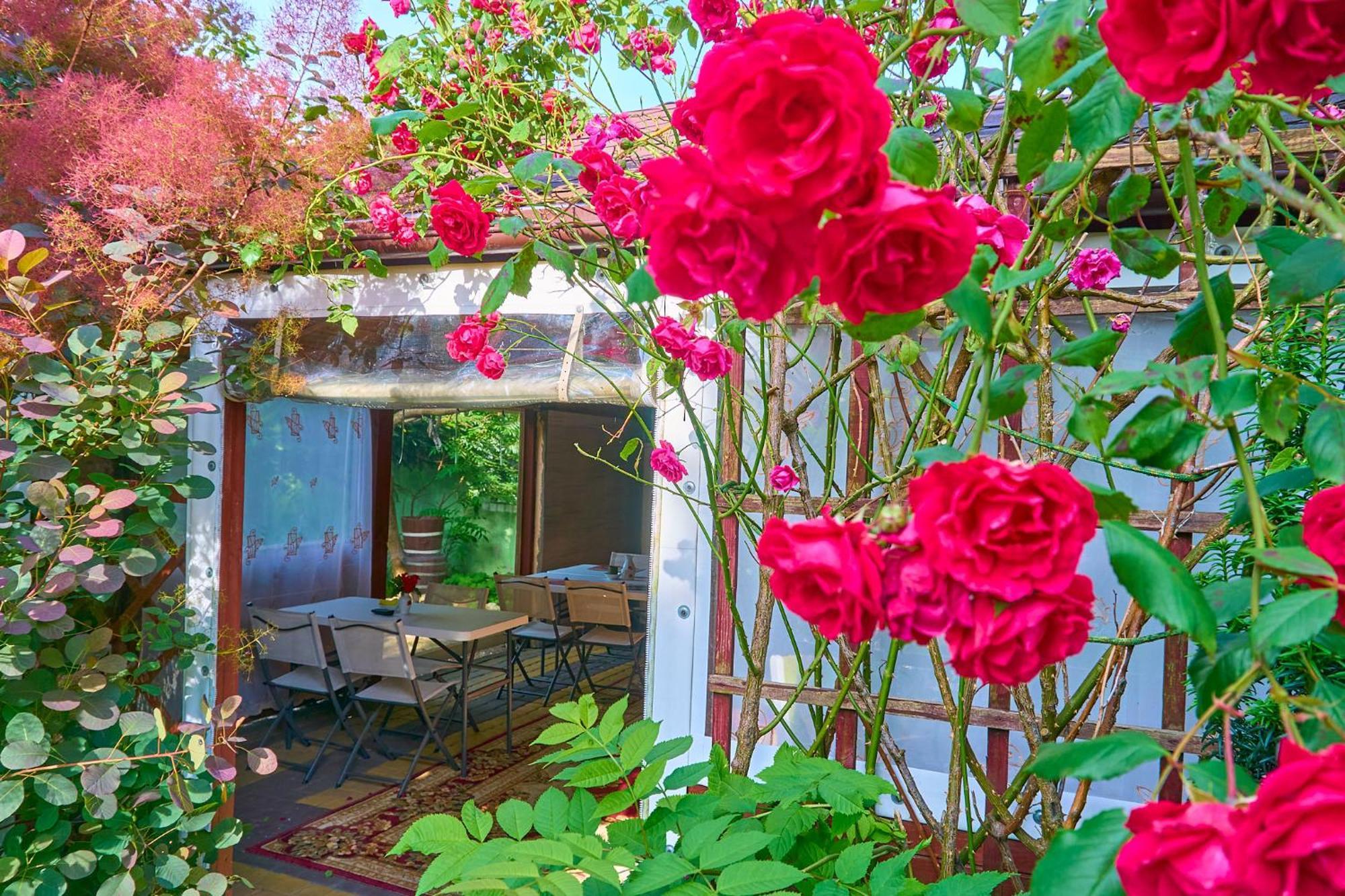 Władysławowo Ow Sargus Bed & Breakfast エクステリア 写真