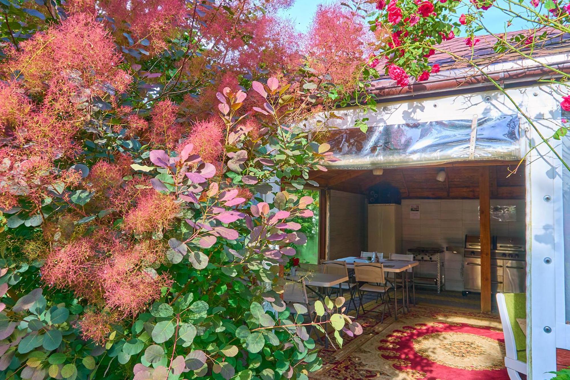 Władysławowo Ow Sargus Bed & Breakfast エクステリア 写真